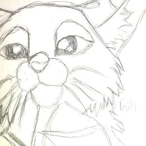 Tipper the cat drawing 😸